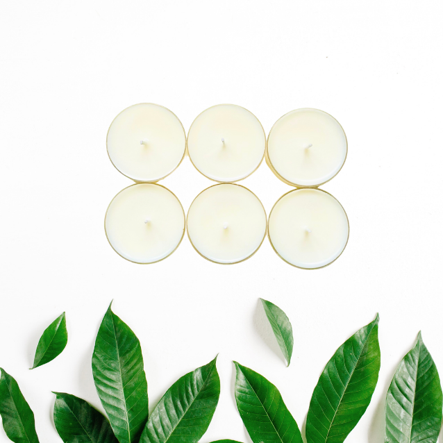 A pack of Cocosoy Joy Coconut Soy Tealight Candles. Handpoured in Auckland, New Zealand, and made from premium natural ingredients.